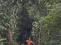 Tn DSC 4329